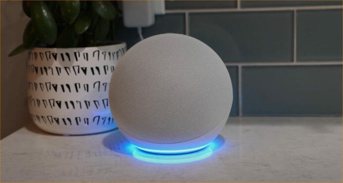 alexa with blue light