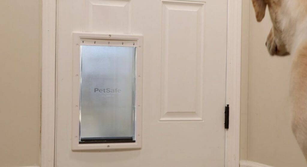 dog door