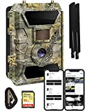 Yellowstone.ai 4G LTE Wireless Cellular Trail Camera with App for Deer...