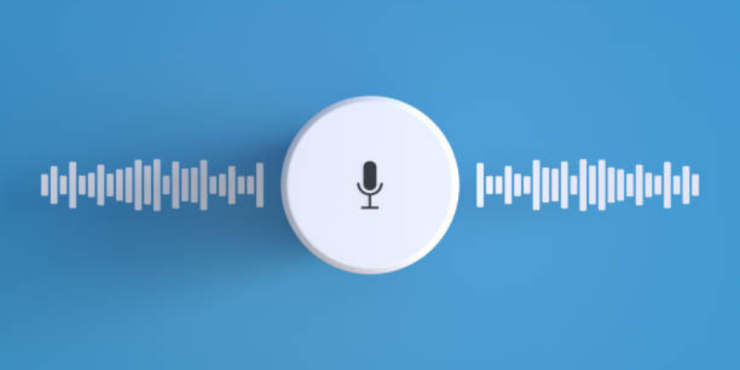 voice device