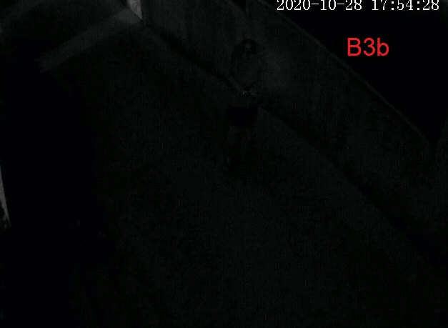 Cameras Image Is Very Dark at Night Time