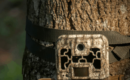 camouflage trail camera