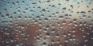 moisture