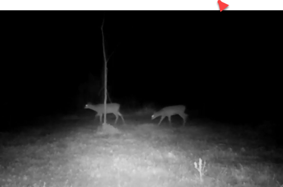 night vision cam creative