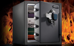 SentrySafe-SFW123GDC Fireproof Safe
