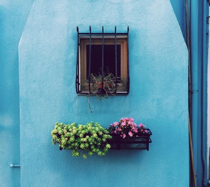 window grills